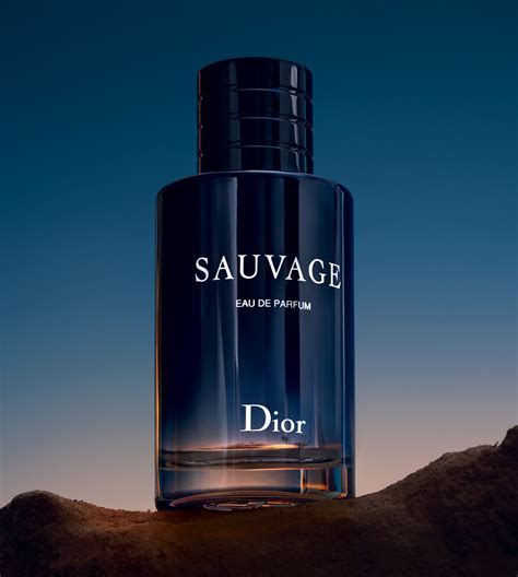 men dior perfumes